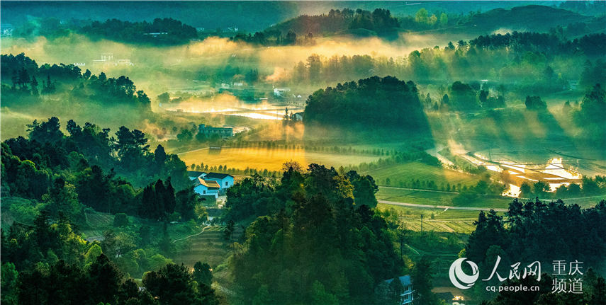 еؑcϴ^(q)^(zhn)F(mng)箋 z