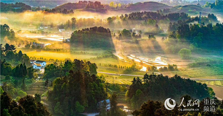 еؑcϴ^(q)^(zhn)F(mng)箋 z