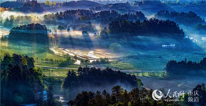 еؑcϴ^(q)^(zhn)F箋 z