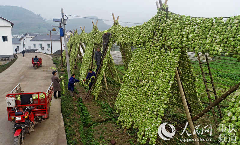 ɴ^ڲ˼L(fng)Óˮ־(qing)SӔz