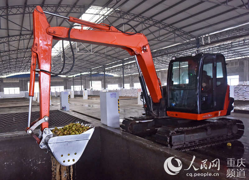 ե˼FԭϼӹSڼӹُ^־SӔz