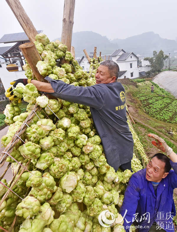 ɴ^ڲ˼L(fng)Óˮ־(qing)SӔz