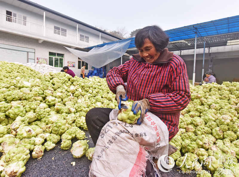 տ^ȥƤ־(qing)SӔz