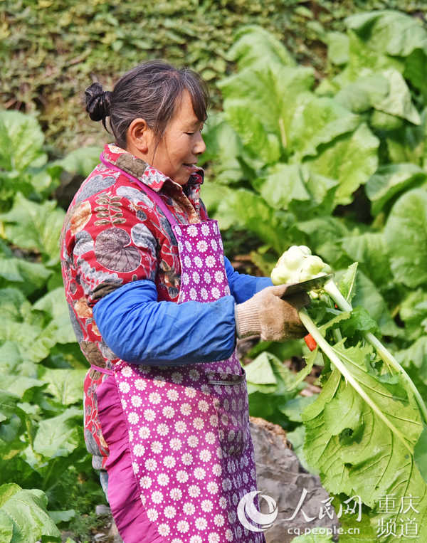 r(nng)տ^־(qing)SӔz