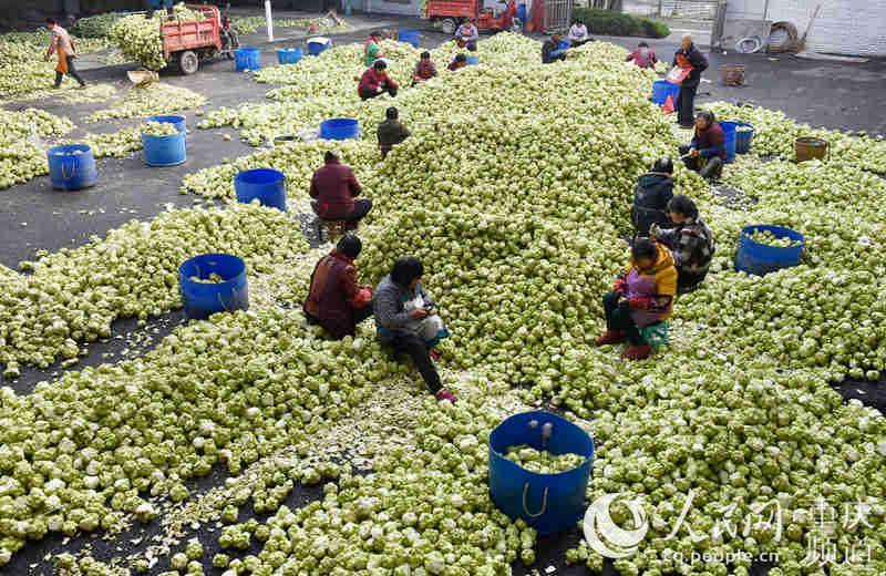 տ^ȥƤ־(qing) S z