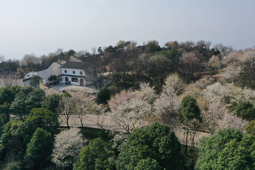 山^(q)ʢ(zhn)ɽf(wn)Ұѻӭ`xz