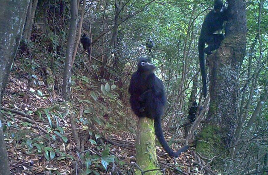 t⾀Б(yng)C(j)ץĵĺ~ȺؑcɽҼȻo(h)^(q)ֹD