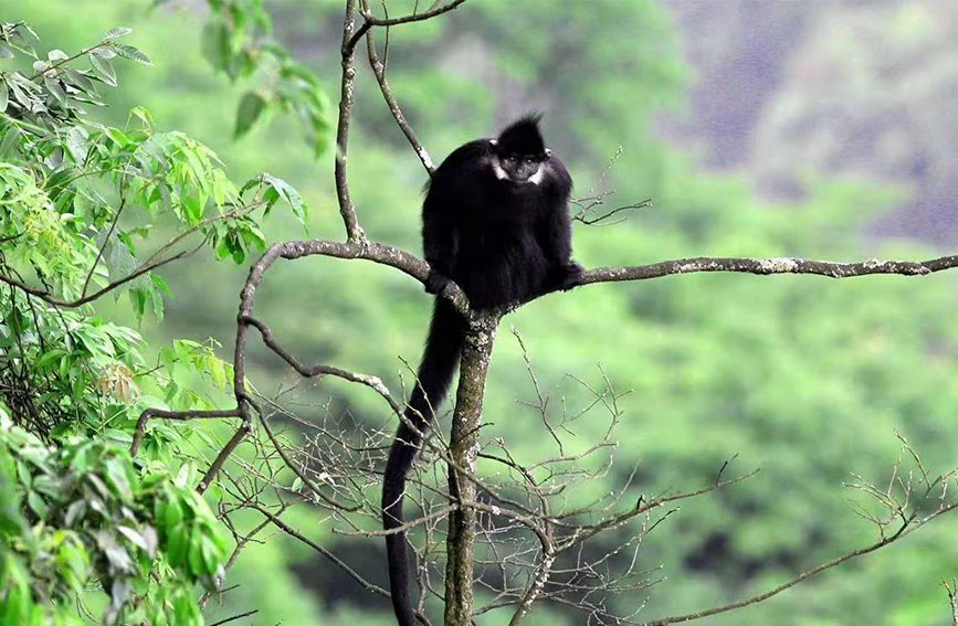 ~ؑcɽҼȻo^(q)ֹD