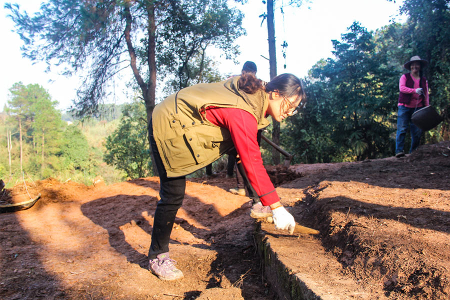 ꠆TڿŰl(f)F(xin)ؑcĻza(chn)оԺD