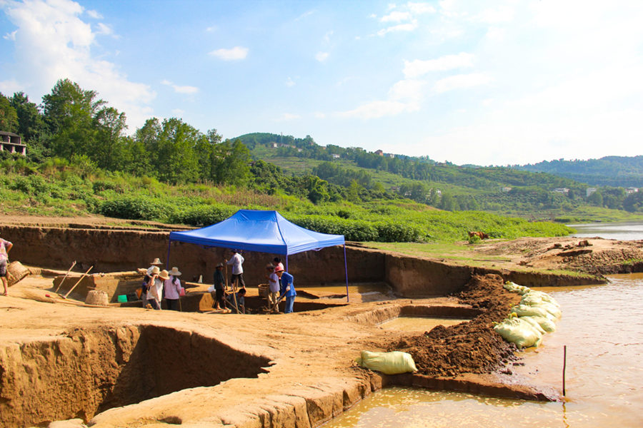 ŬF(xin)(chng)(du)(du)Tcϝqˮr(sh)gؑcĻza(chn)оԺD