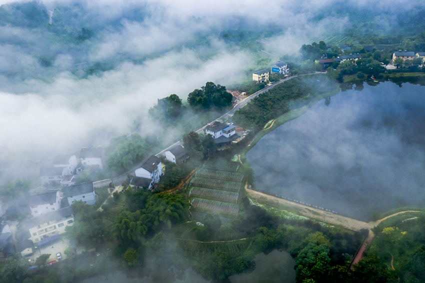 ؑcаυ^(q)or(nng)(xing)ĿƄ(dng)r(nng)˾ӭh(hun)Dl(xing)υ^(q)l(xing)һwl(f)չĹD