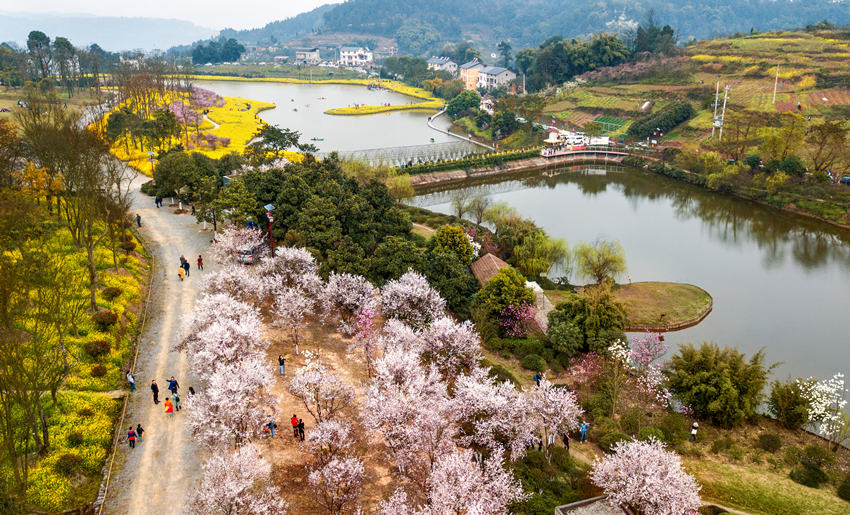 υ^(q)l(xing)υ^(q)l(xing)һwl(f)չĹD