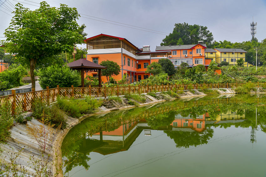 υ^(q)ʥ(zhn)wr˾ӭh(hun)ʾcυ^(q)l(xing)һwl(f)չĹD