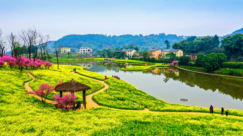 υ^(q)l(xing)υ^(q)l(xing)һwl(f)չĹD