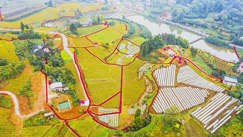 ϖ|Ȫ(zhn)Sִυ^(q)l(xing)һwl(f)չĹD