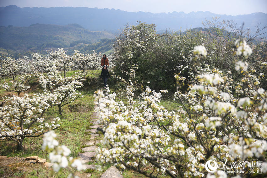 山ţƺ滨W(wng) z