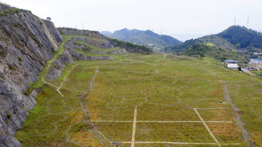 B(ti)ޏ(f)ؑcбՅ^(q)o^(zhn)AVɽ@͢z