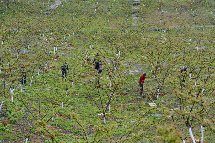 ؑcбՅ^(q)o^(zhn)AĵVɽ@͢z