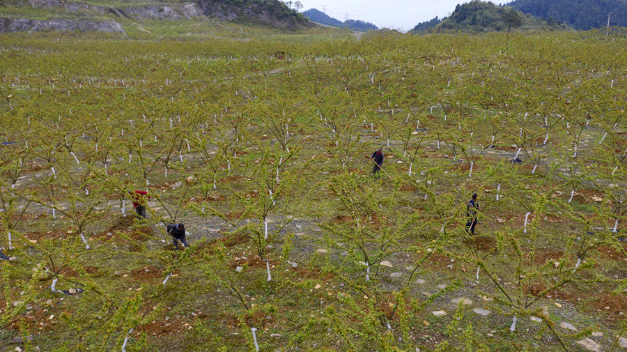 ؑcбՅ^(q)o^(zhn)AĵVɽ@͢z