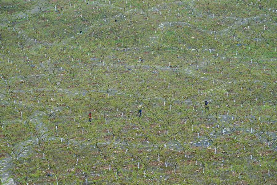 ؑcбՅ^(q)o^(zhn)AĵVɽ@͢z