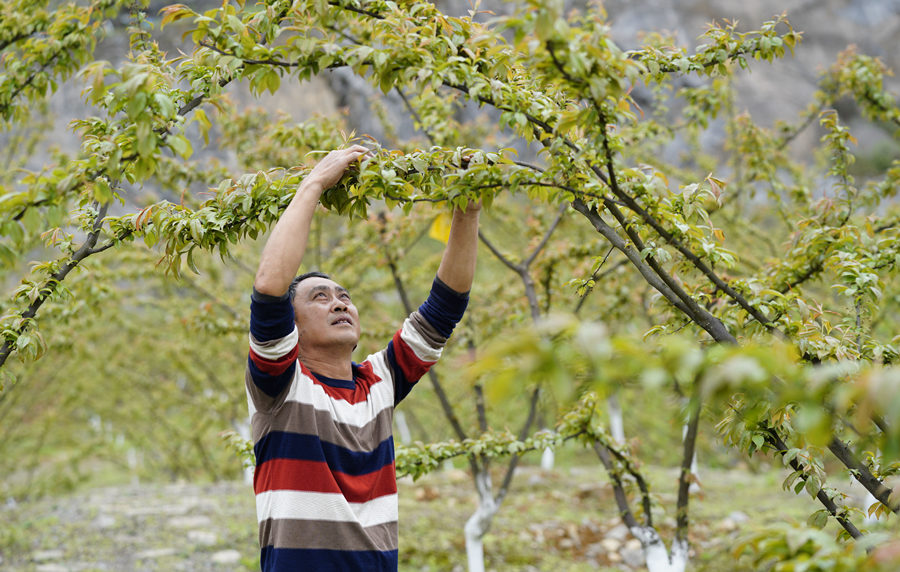 ؑcбՅ^(q)o^(zhn)AĵVɽ@͢z