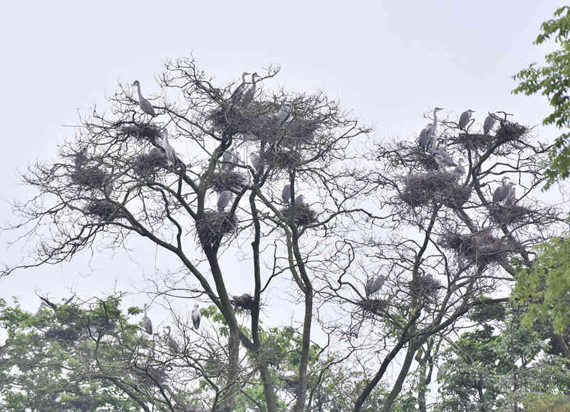 һØϗϢ˔(sh)ʮֻQSӔz