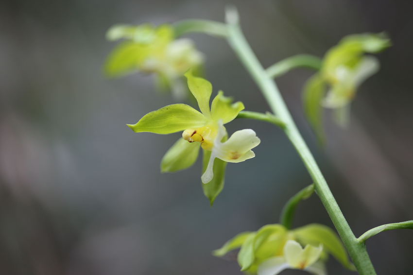 ؑcl(f)F(xin)ֲNϪrmؑcꎗlXҼȻo^(q)ֹD