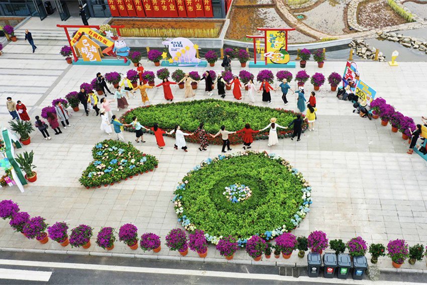 οϪӷ(w)^(q)^򿨡 xz