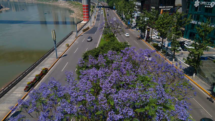 I·ϣ{(ln)ʢ_(ki)ֺz