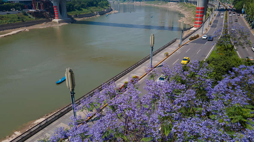 I·{(ln)ʢ_(ki)ֺz