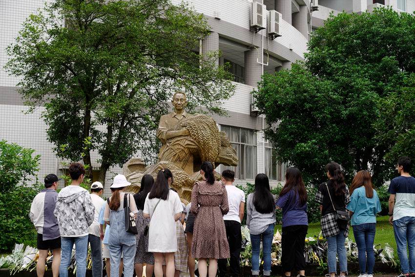 ԰l(f)ǰόW(xu)LĎ͢z 