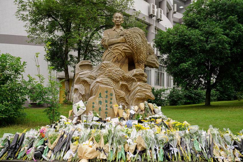 ϴW(xu)(ni)Ԭ¡ƽ[Mr͢z