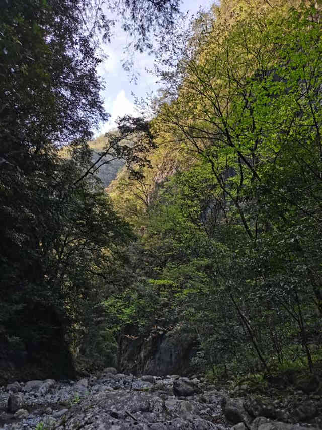 뻨ɼО{^(q)ϡlΣֲؑcꎗlXҼ(j)Ȼo(h)^(q)ֹD