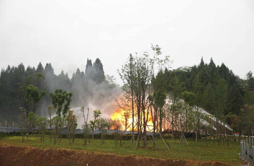 ݾF(xin)ؑcБ(yng)ֹD