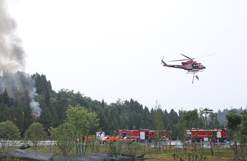 ֱC(j)1ָ]١ؑcБ(yng)ֹD