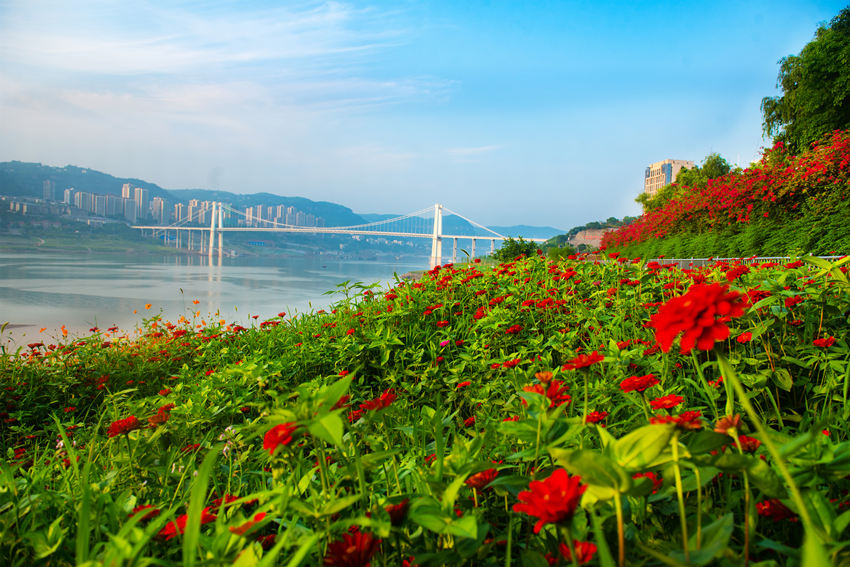 f(wn)ݽ^(q)ϞI@L(zhng)䎧r`Gz