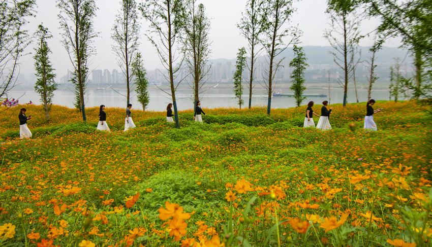 f(wn)ݽ^(q)Ƚ܊z