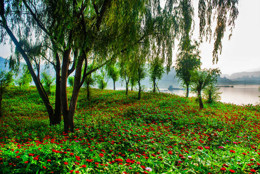 fݽ^(q)GⰻȻL߅rc(din)YGz