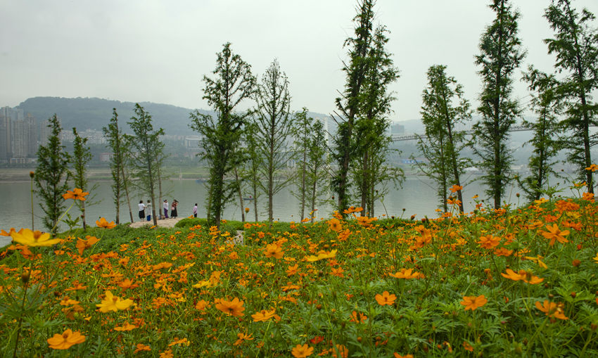 fݽ^(q)ɻĺȽ܊z