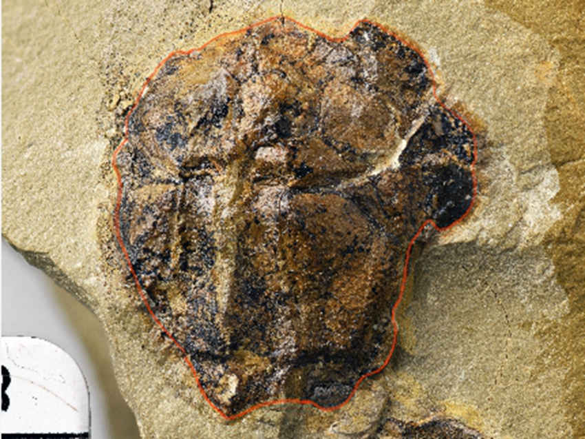 M~߅~ʯؑcҎ(gu)ȻYԴֹD