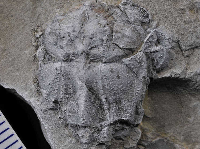 M~߅~ʯؑcҎ(gu)ȻYԴֹD