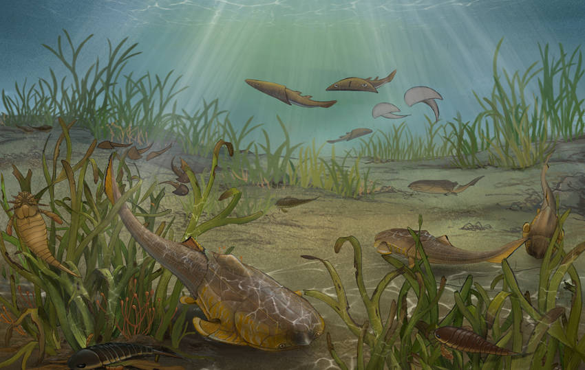 ŭh(hun)B(ti)ģMDؑcҎ(gu)ȻYԴֹD