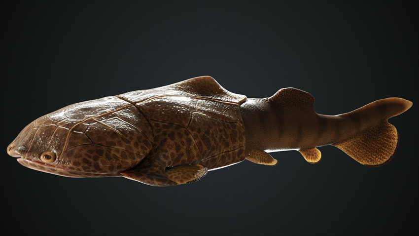 M~߅~ʯģؑ͡cҎ(gu)ȻYԴֹD