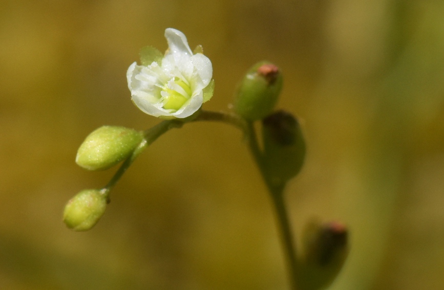 A~é˵Ļȫؑc(gu)Ҽ(j)Ȼo(h)^(q)̎D