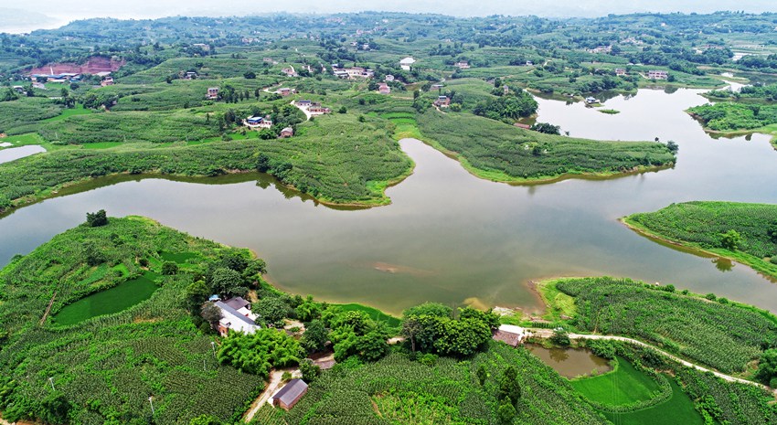 ^(q)Ϫ(zhn)l(xing)SӔz