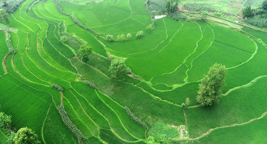 R(zhn)ൾӳrl(xing)L(fng)SӔz