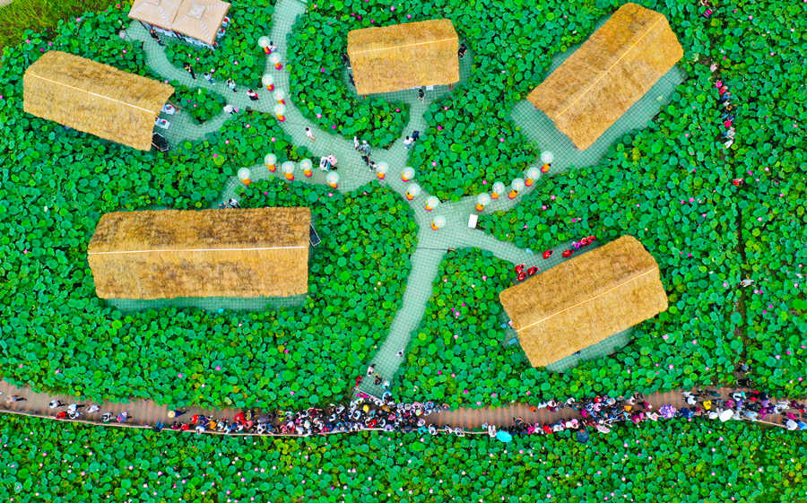 B(nio)L(zhng)Ɣz