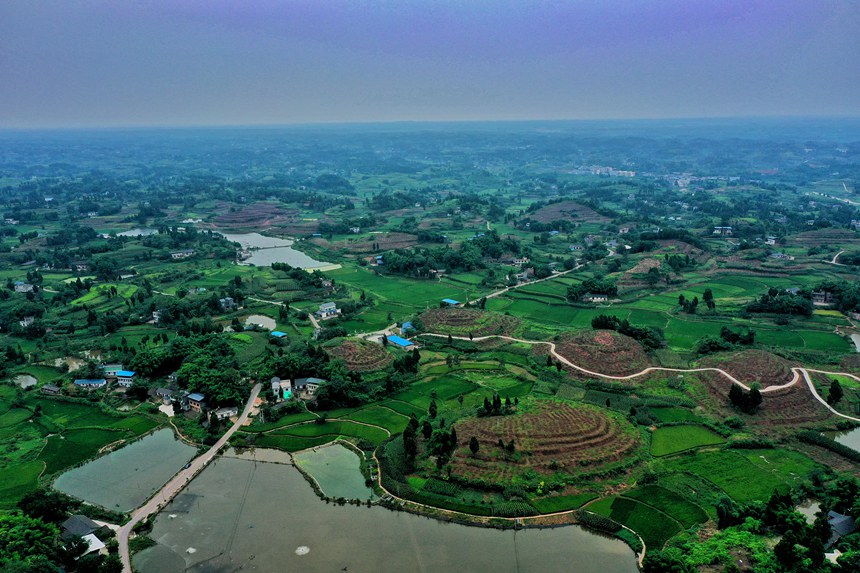 KY(ji)ȫ匍Hյ؄ݸߵͲ֮a(chn)I(y)_Δz