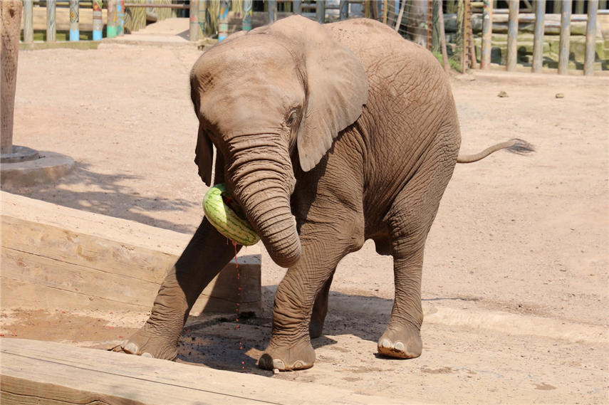 _Ӿ?sh)Ȼʽ_(ki)ϼg(sh)ɽ z