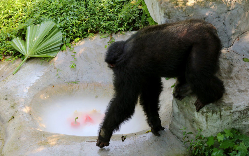 ˆT؄e(zhn)ˡˮ偡ɽ z